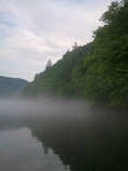 foto/diskuze/z_lovu/2011/th-img42856.jpg