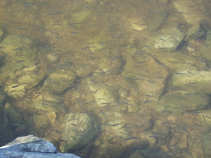 foto/diskuze/z_lovu/2011/th-img42868.jpg