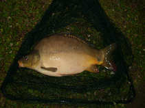 foto/diskuze/z_lovu/2011/th-img42904.jpg