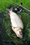 foto/diskuze/z_lovu/2011/th-img42943.jpg