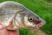 foto/diskuze/z_lovu/2011/th-img42944.jpg