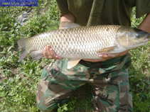 foto/diskuze/z_lovu/2011/th-img43005.jpg