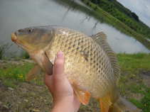 foto/diskuze/z_lovu/2011/th-img43087.jpg