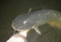 foto/diskuze/z_lovu/2011/th-img43094.jpg
