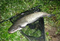foto/diskuze/z_lovu/2011/th-img43113.jpg