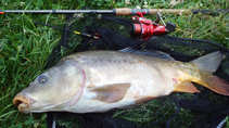 foto/diskuze/z_lovu/2011/th-img43118.jpg