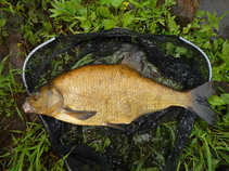 foto/diskuze/z_lovu/2011/th-img43133.jpg