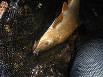 foto/diskuze/z_lovu/2011/th-img43316.jpg