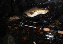 foto/diskuze/z_lovu/2011/th-img43317.jpg