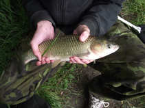 foto/diskuze/z_lovu/2011/th-img43318.jpg