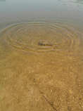 foto/diskuze/z_lovu/2011/th-img43338.jpg