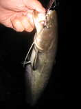 foto/diskuze/z_lovu/2011/th-img43341.jpg