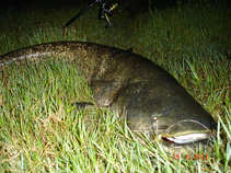 foto/diskuze/z_lovu/2011/th-img43365.jpg