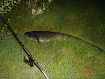 foto/diskuze/z_lovu/2011/th-img43367.jpg