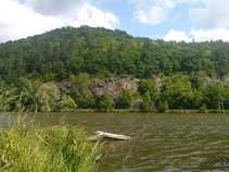 foto/diskuze/z_lovu/2011/th-img43380.jpg