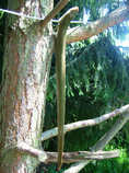 foto/diskuze/z_lovu/2011/th-img43445.jpg