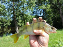 foto/diskuze/z_lovu/2011/th-img43473.jpg