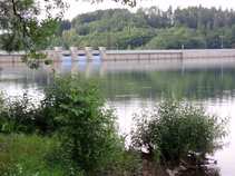 foto/diskuze/z_lovu/2011/th-img43474.jpg