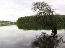 foto/diskuze/z_lovu/2011/th-img43476.jpg
