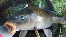 foto/diskuze/z_lovu/2011/th-img43480.jpg
