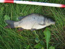foto/diskuze/z_lovu/2011/th-img43504.jpg