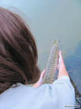 foto/diskuze/z_lovu/2011/th-img43519.jpg