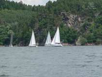 foto/diskuze/z_lovu/2011/th-img43567.jpg