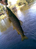 foto/diskuze/z_lovu/2011/th-img43570.jpg