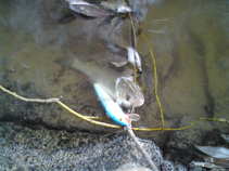 foto/diskuze/z_lovu/2011/th-img43574.jpg