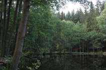 foto/diskuze/z_lovu/2011/th-img43619.jpg