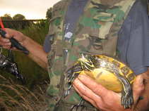 foto/diskuze/z_lovu/2011/th-img43625.jpg
