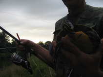 foto/diskuze/z_lovu/2011/th-img43626.jpg