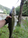foto/diskuze/z_lovu/2011/th-img43635.jpg
