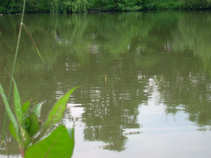 foto/diskuze/z_lovu/2011/th-img43669.jpg