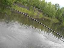 foto/diskuze/z_lovu/2011/th-img43674.jpg