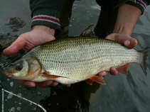 foto/diskuze/z_lovu/2011/th-img43685.jpg
