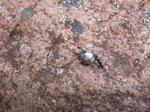 foto/diskuze/z_lovu/2011/th-img43752.jpg