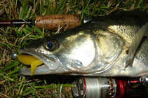 foto/diskuze/z_lovu/2011/th-img43759.jpg