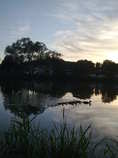 foto/diskuze/z_lovu/2011/th-img43776.jpg