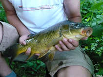 foto/diskuze/z_lovu/2011/th-img43790.jpg