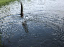 foto/diskuze/z_lovu/2011/th-img43803.jpg