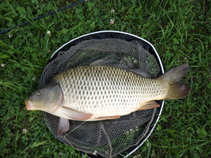 foto/diskuze/z_lovu/2011/th-img43804.jpg