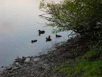 foto/diskuze/z_lovu/2011/th-img43828.jpg