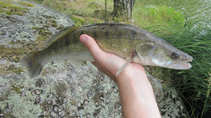 foto/diskuze/z_lovu/2011/th-img43848.jpg