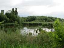 foto/diskuze/z_lovu/2011/th-img43870.jpg