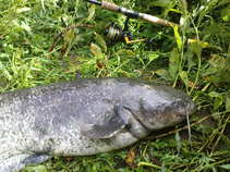 foto/diskuze/z_lovu/2011/th-img43881.jpg