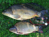 foto/diskuze/z_lovu/2011/th-img43924.jpg