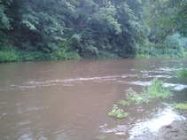 foto/diskuze/z_lovu/2011/th-img44034.jpg