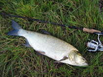 foto/diskuze/z_lovu/2011/th-img44042.jpg