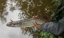 foto/diskuze/z_lovu/2011/th-img44135.jpg